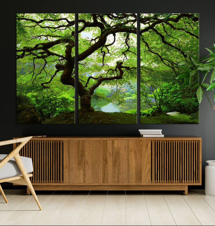 Japanese Maple in Autumn, Japanese Garden, Portland Oregon Large Wall Art Canvas Print