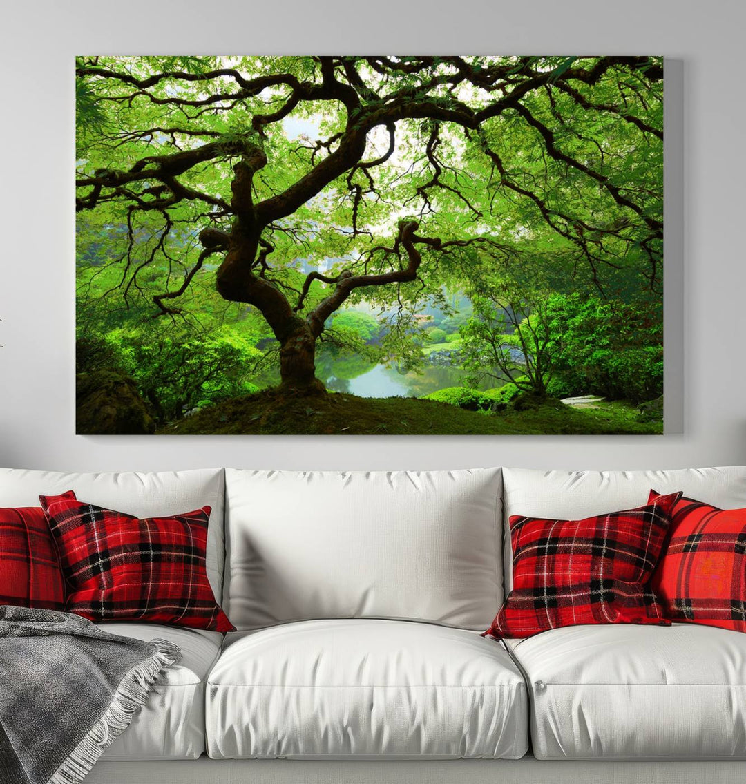 Japanese Maple in Autumn, Japanese Garden, Portland Oregon Large Wall Art Canvas Print