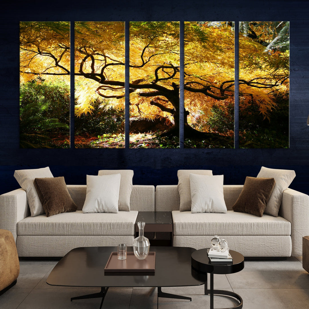 Japanese Maple in Autumn, Japanese Garden, Portland Oregon Fall Large Wall Art Canvas Print