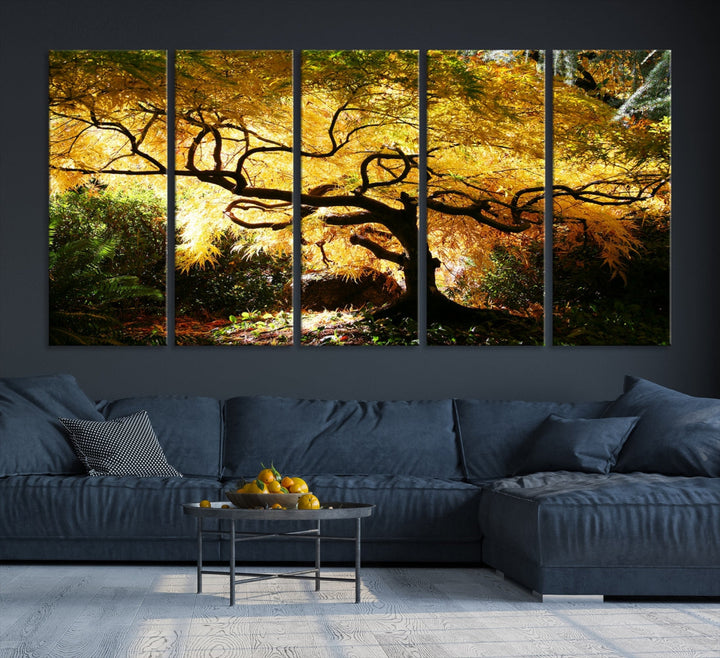 Japanese Maple in Autumn, Japanese Garden, Portland Oregon Fall Large Wall Art Canvas Print