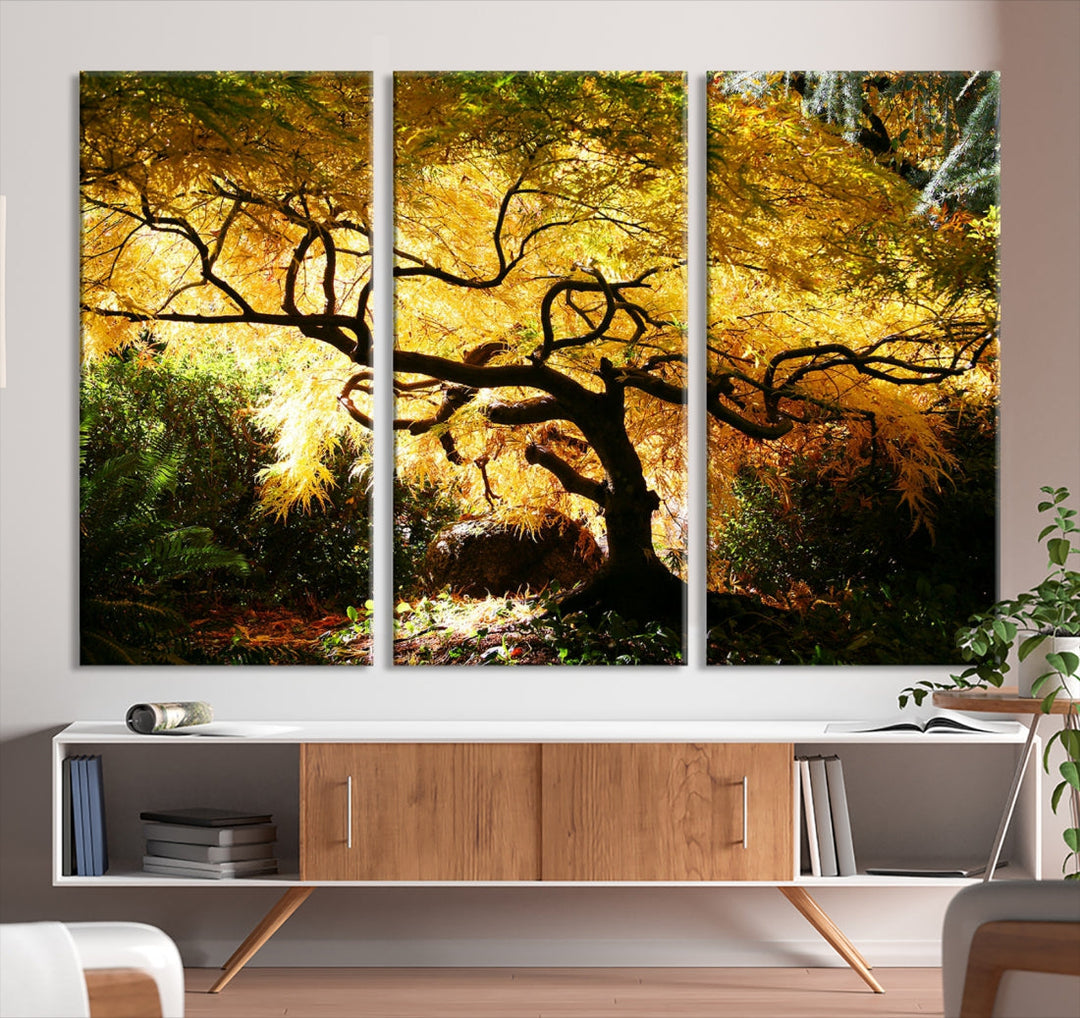 Japanese Maple in Autumn, Japanese Garden, Portland Oregon Fall Large Wall Art Canvas Print