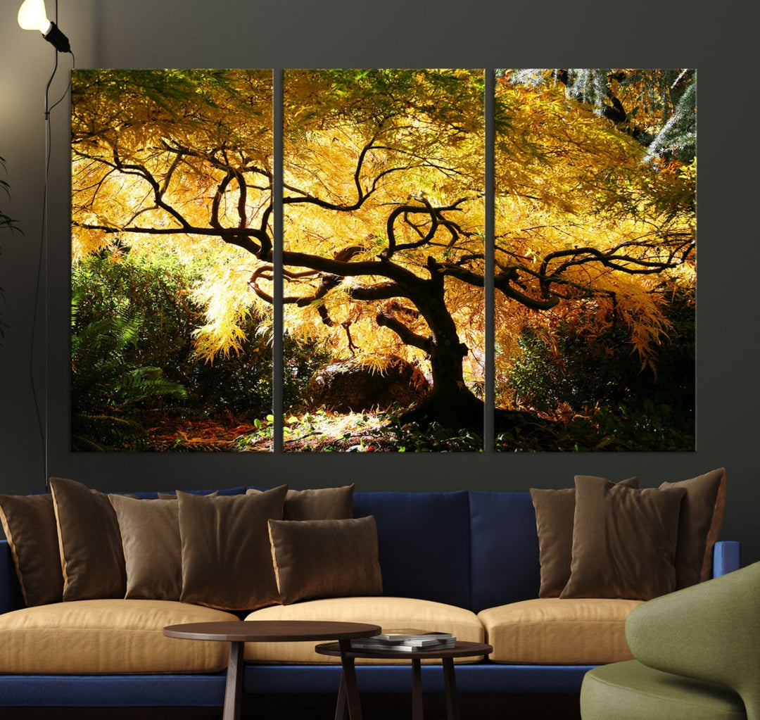 Japanese Maple in Autumn, Japanese Garden, Portland Oregon Fall Large Wall Art Canvas Print