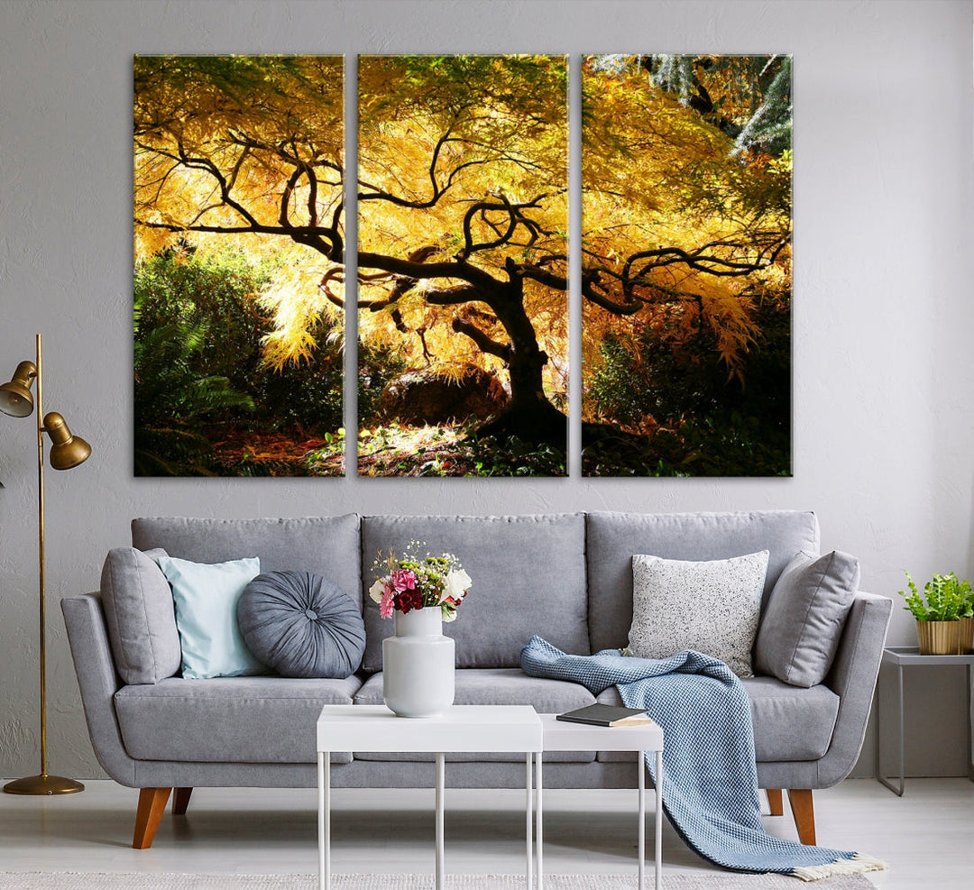 Japanese Maple in Autumn, Japanese Garden, Portland Oregon Fall Large Wall Art Canvas Print