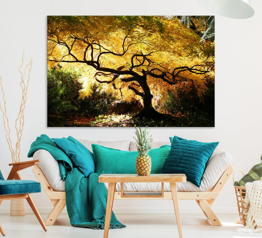 Japanese Maple in Autumn, Japanese Garden, Portland Oregon Fall Large Wall Art Canvas Print