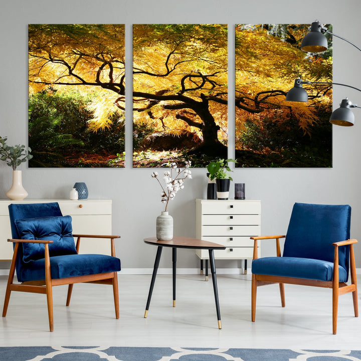 Japanese Maple in Autumn, Japanese Garden, Portland Oregon Fall Large Wall Art Canvas Print