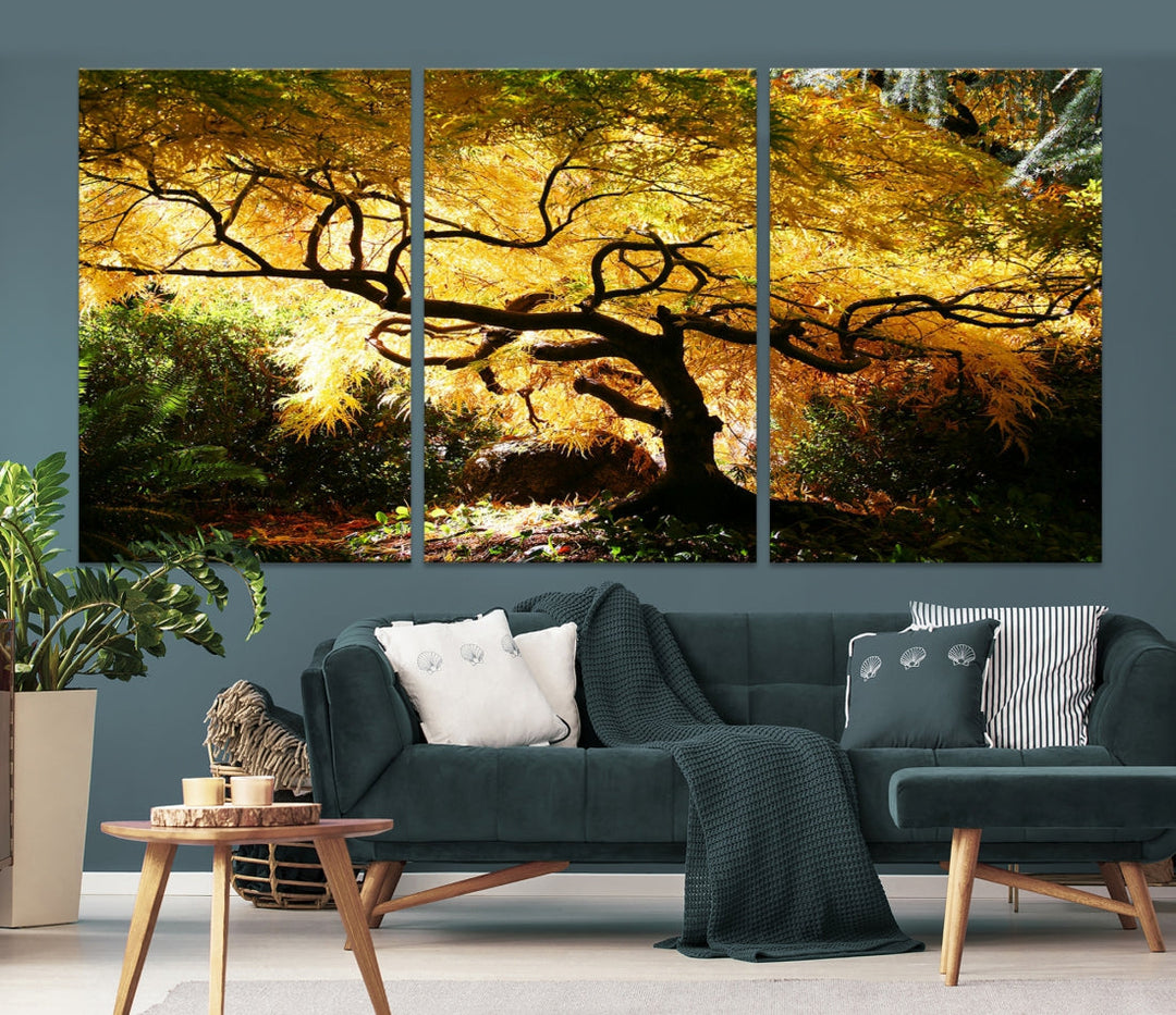 Japanese Maple in Autumn, Japanese Garden, Portland Oregon Fall Large Wall Art Canvas Print