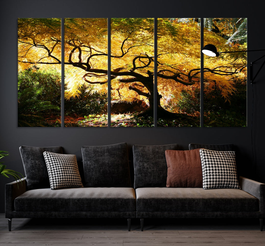 Japanese Maple in Autumn, Japanese Garden, Portland Oregon Fall Large Wall Art Canvas Print