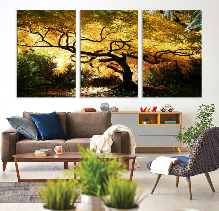 Japanese Maple in Autumn, Japanese Garden, Portland Oregon Fall Large Wall Art Canvas Print