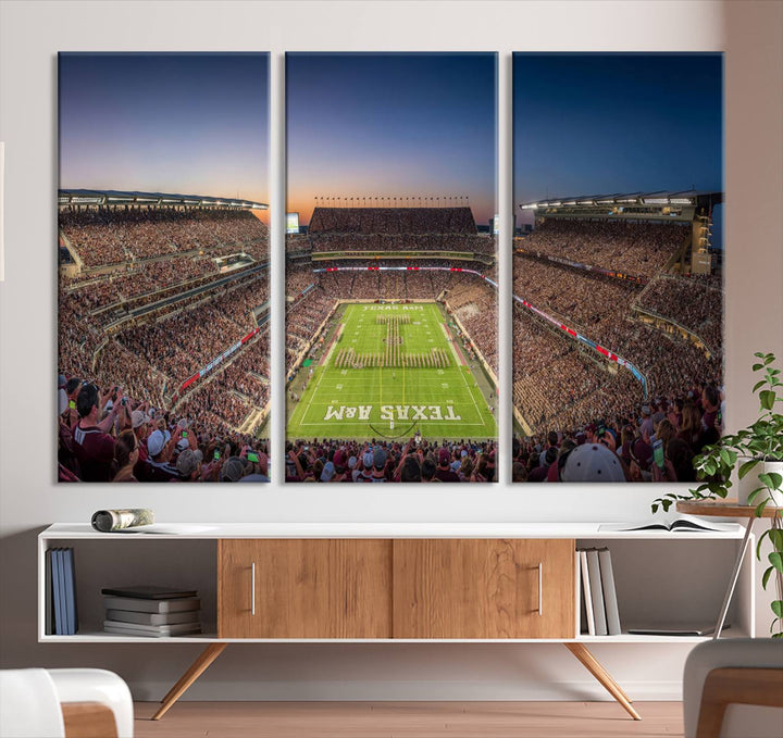 Kyle Field Texas Stadium Wall Art Canvas Print