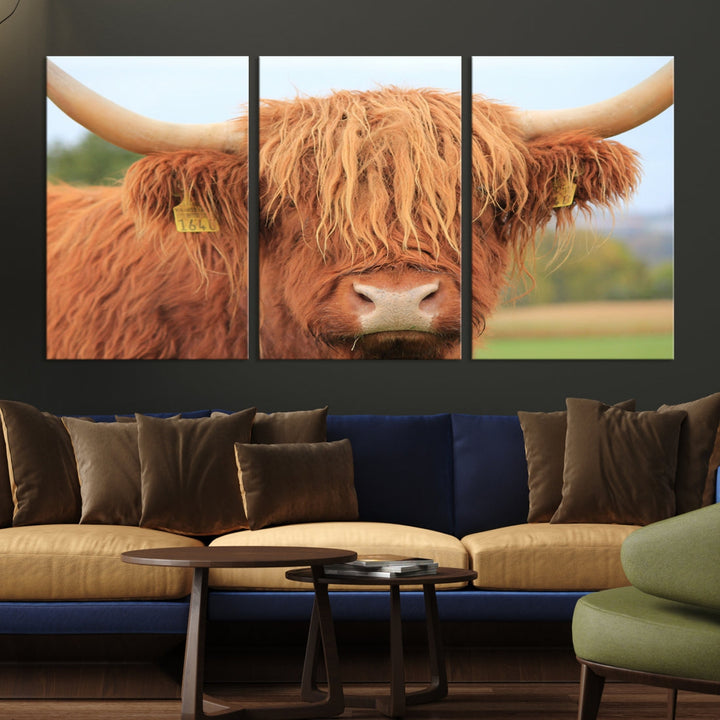 Large Highland Cow Wall Art Canvas Set Animal Artwork for Living Room