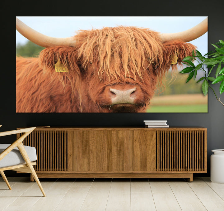 Large Highland Cow Wall Art Canvas Set Animal Artwork for Living Room