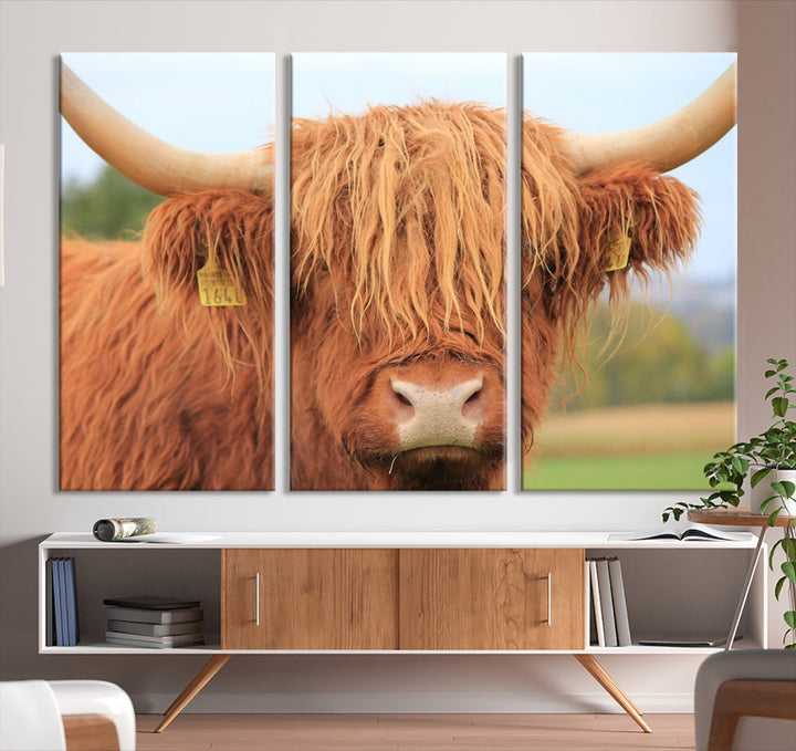 Large Highland Cow Wall Art Canvas Set Animal Artwork for Living Room