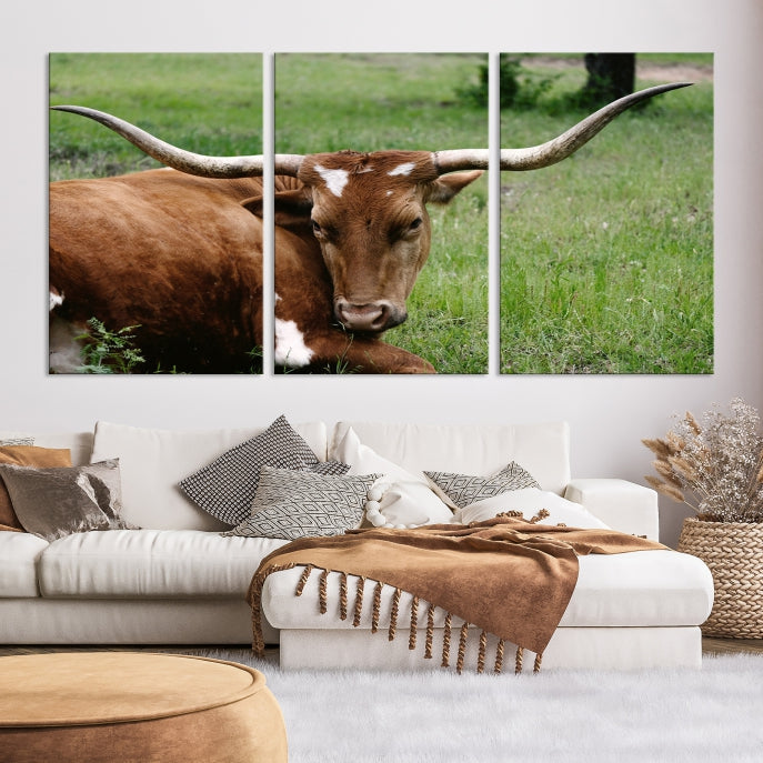 Large Texas Longhorn Cow Wall Art Animal Canvas Print