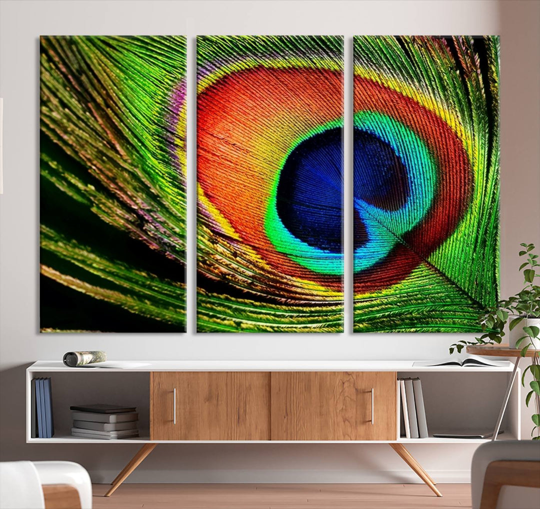 Large Wall Art Animal Canvas PrintBeautiful Peacock Wings Canvas