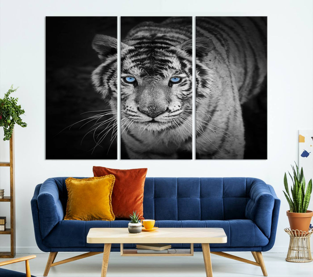 Large Wall Art Animal Canvas PrintBlue Eyed Tiger on Black Background