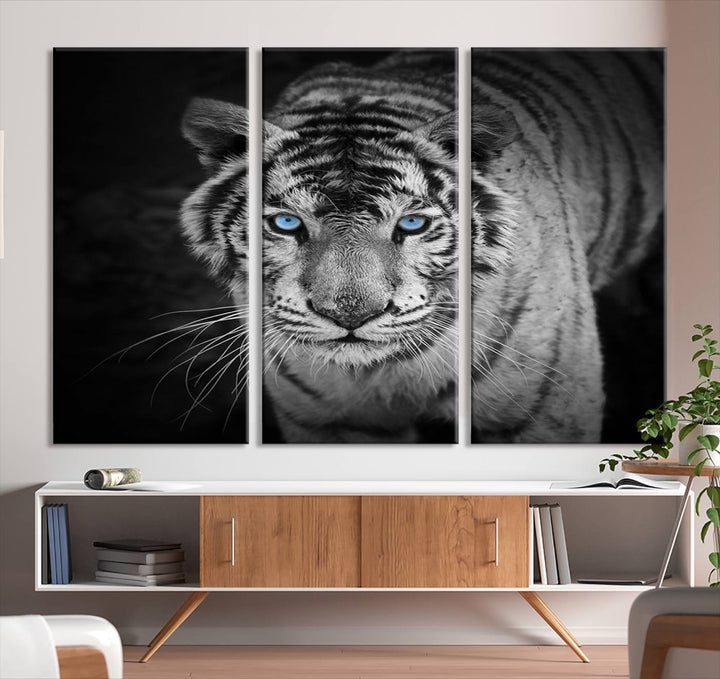 Large Wall Art Animal Canvas PrintBlue Eyed Tiger on Black Background