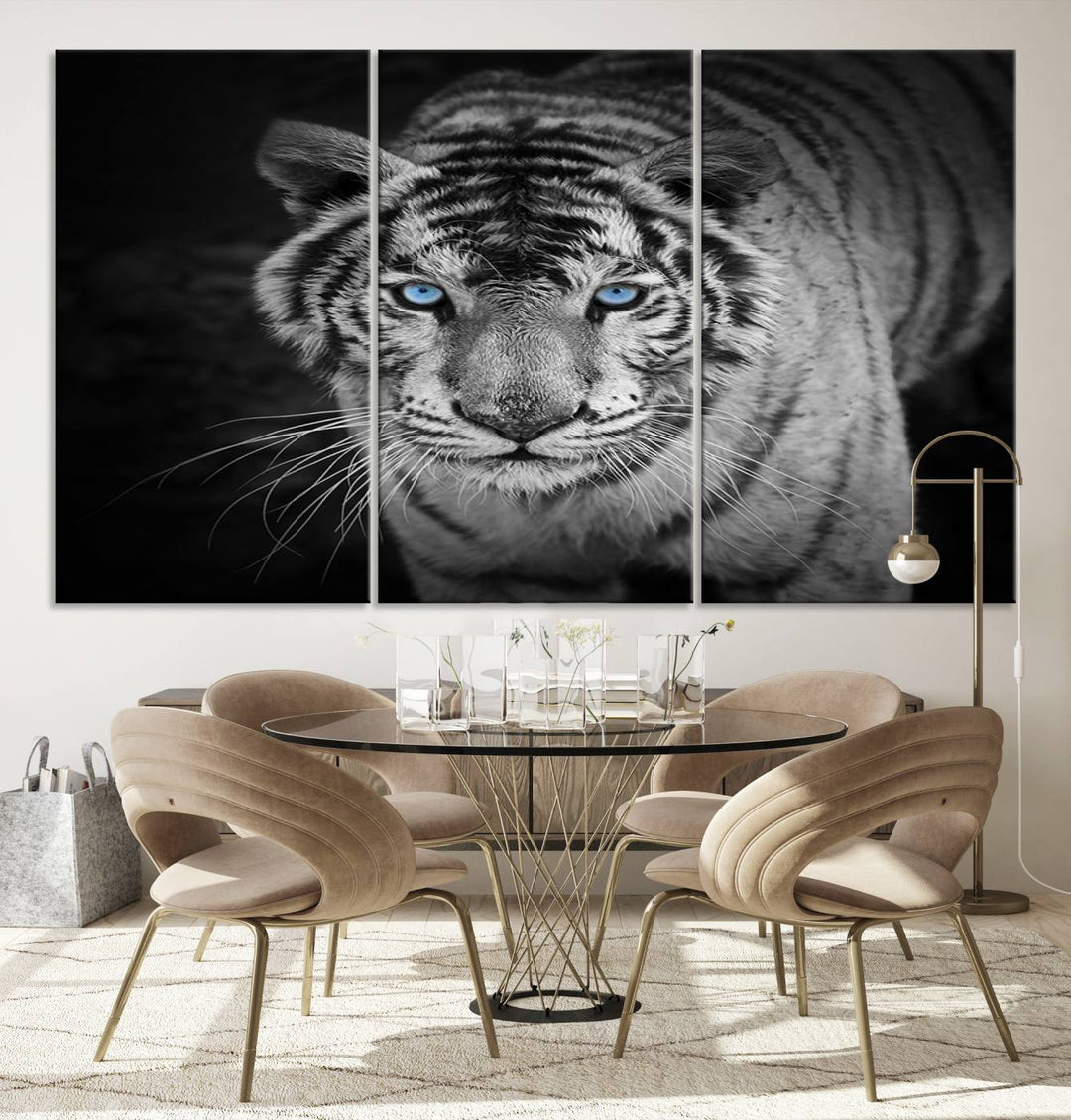 Large Wall Art Animal Canvas PrintBlue Eyed Tiger on Black Background