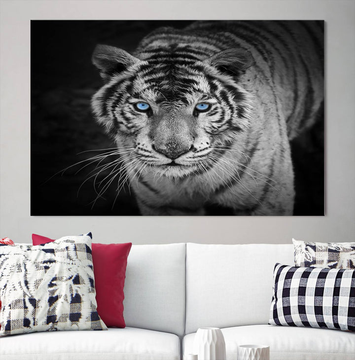 Large Wall Art Animal Canvas PrintBlue Eyed Tiger on Black Background