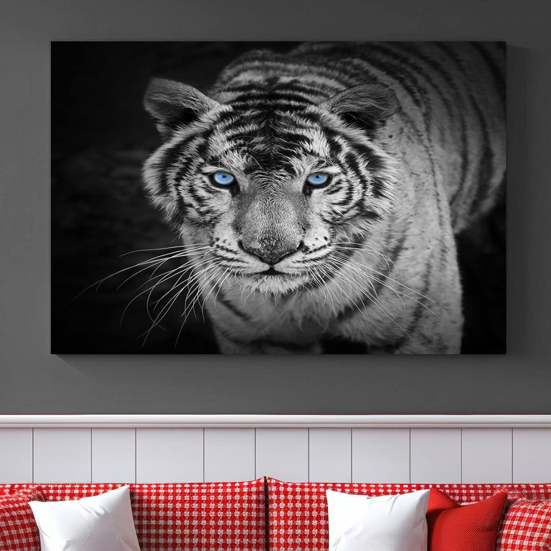 Large Wall Art Animal Canvas PrintBlue Eyed Tiger on Black Background