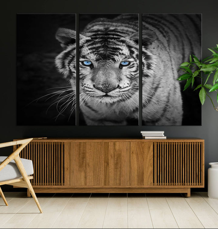 Large Wall Art Animal Canvas PrintBlue Eyed Tiger on Black Background