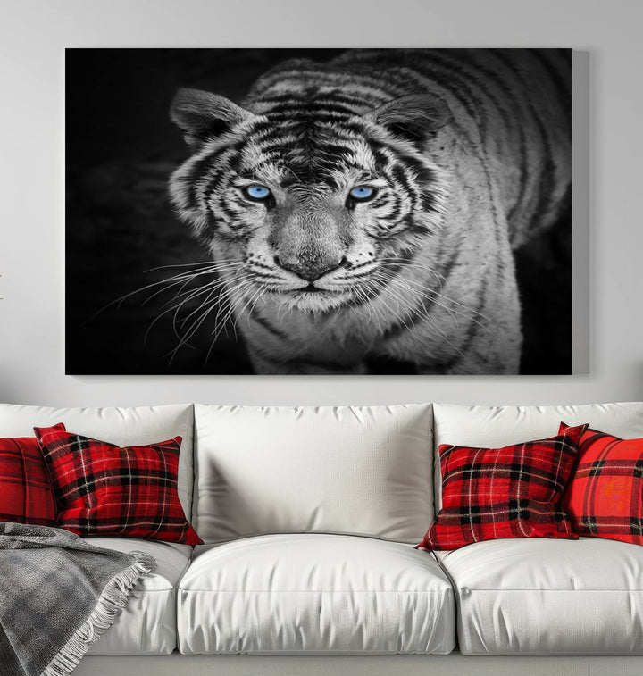 Large Wall Art Animal Canvas PrintBlue Eyed Tiger on Black Background