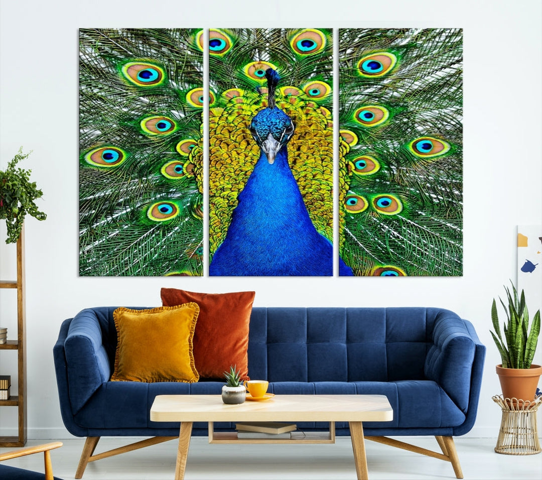 Large Wall Art Animal Canvas PrintBlue Peacock with Colorful Wings