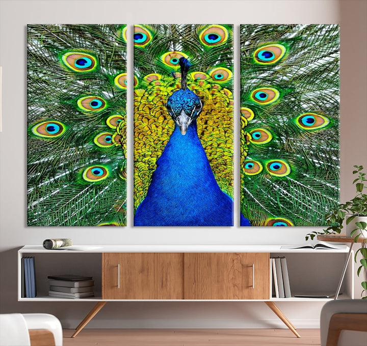 Large Wall Art Animal Canvas PrintBlue Peacock with Colorful Wings