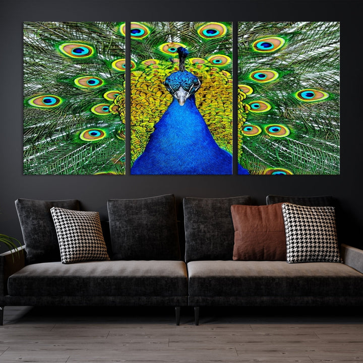 Large Wall Art Animal Canvas PrintBlue Peacock with Colorful Wings