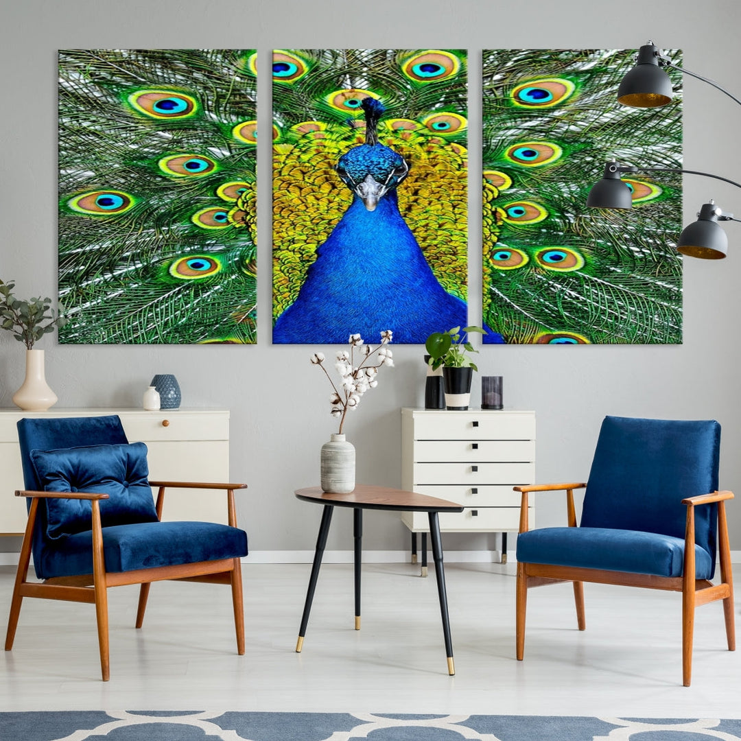 Large Wall Art Animal Canvas PrintBlue Peacock with Colorful Wings