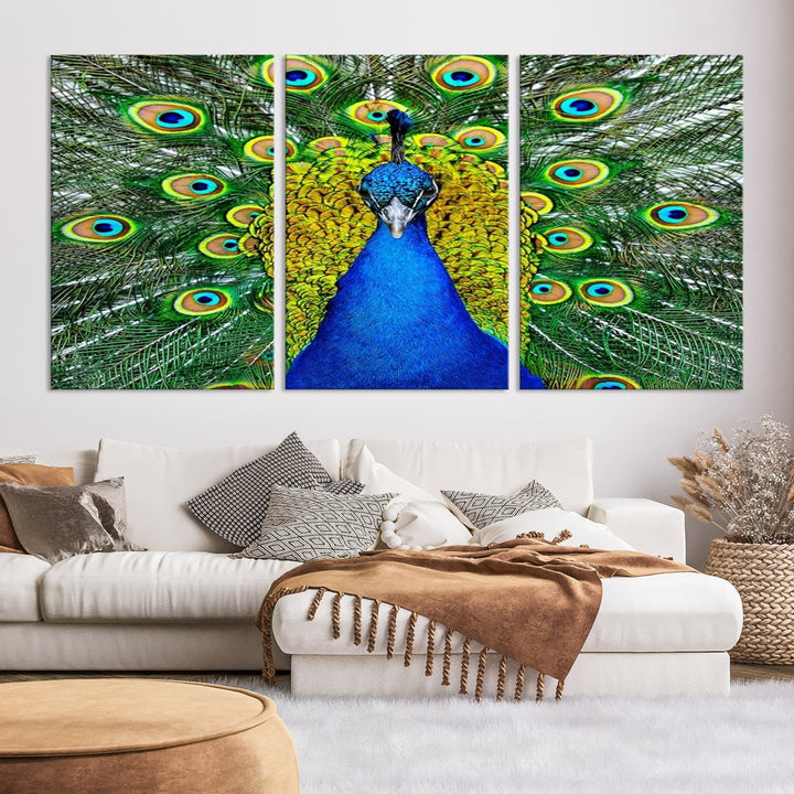 Large Wall Art Animal Canvas PrintBlue Peacock with Colorful Wings