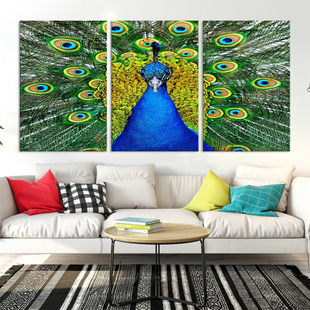 Large Wall Art Animal Canvas PrintBlue Peacock with Colorful Wings