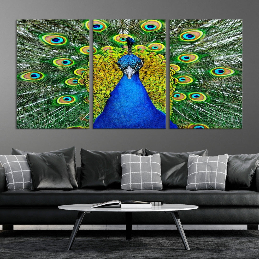 Large Wall Art Animal Canvas PrintBlue Peacock with Colorful Wings