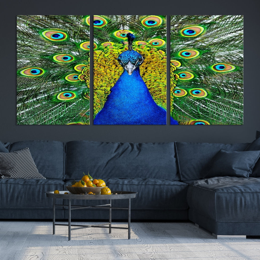 Large Wall Art Animal Canvas PrintBlue Peacock with Colorful Wings