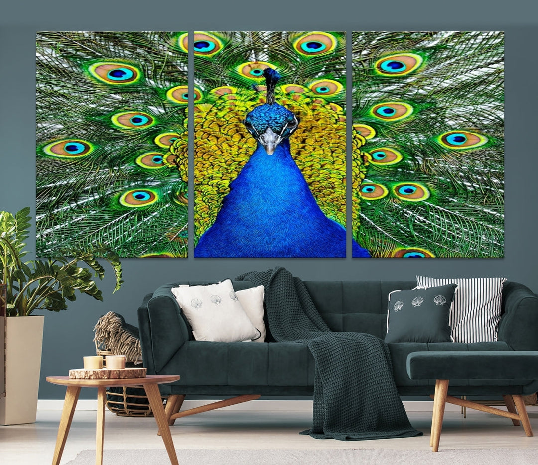 Large Wall Art Animal Canvas PrintBlue Peacock with Colorful Wings