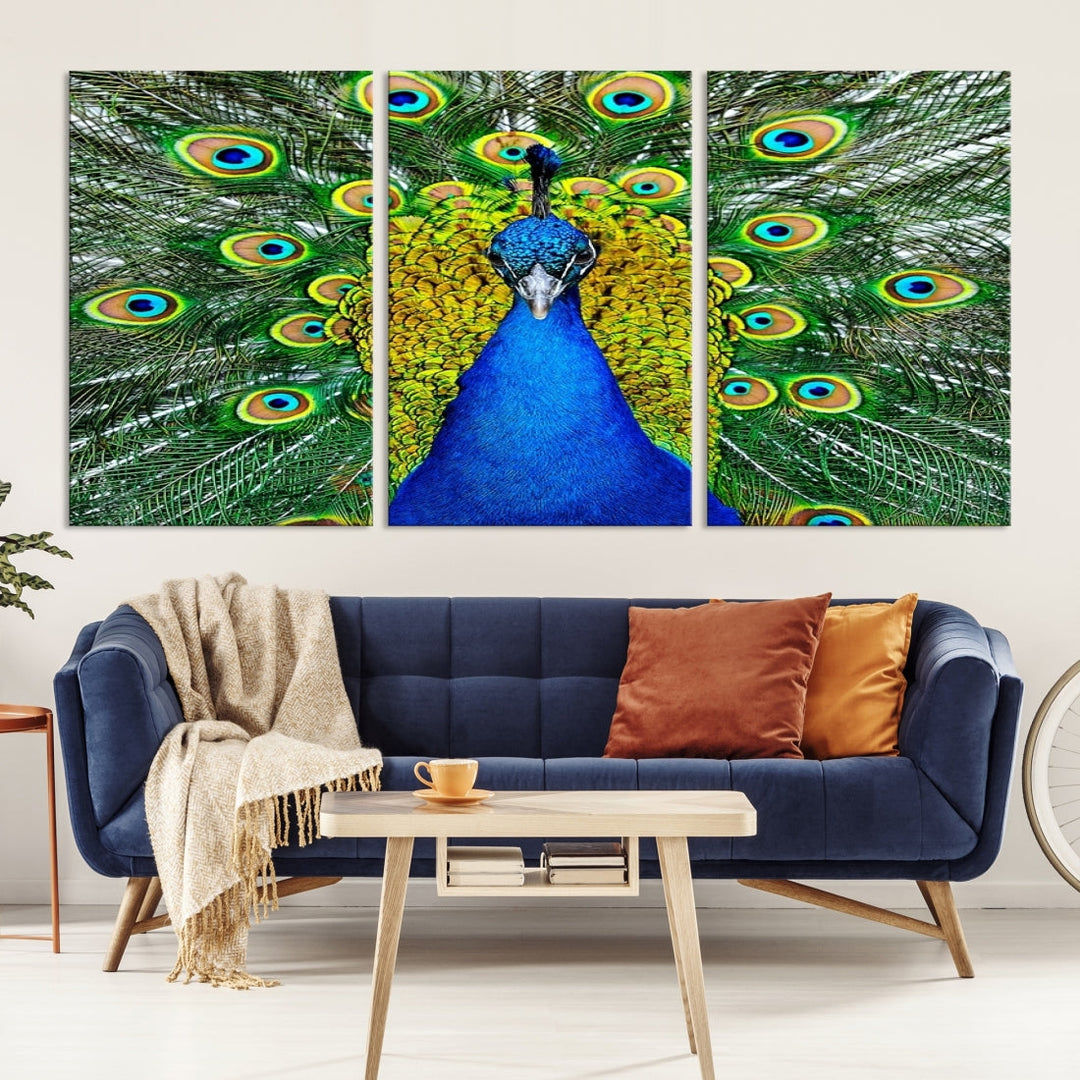 Large Wall Art Animal Canvas PrintBlue Peacock with Colorful Wings