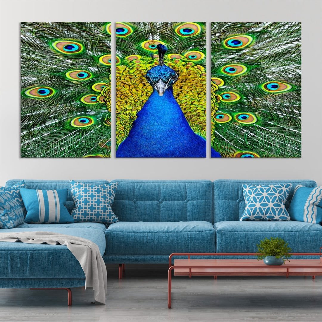 Large Wall Art Animal Canvas PrintBlue Peacock with Colorful Wings