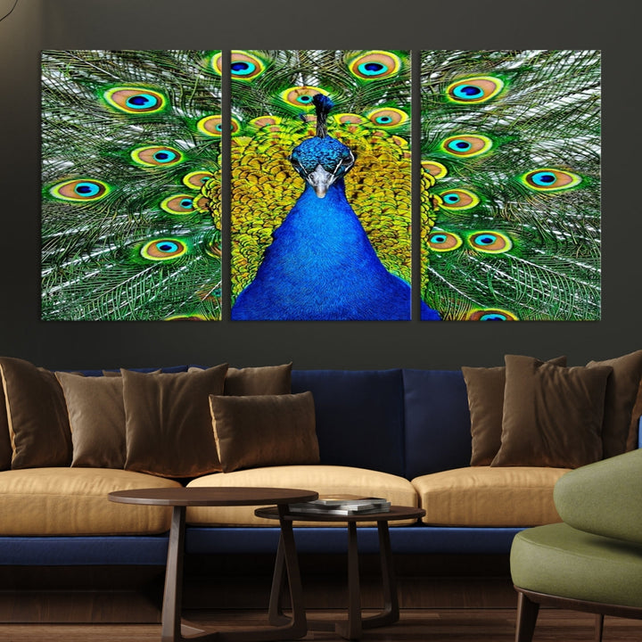 Large Wall Art Animal Canvas PrintBlue Peacock with Colorful Wings