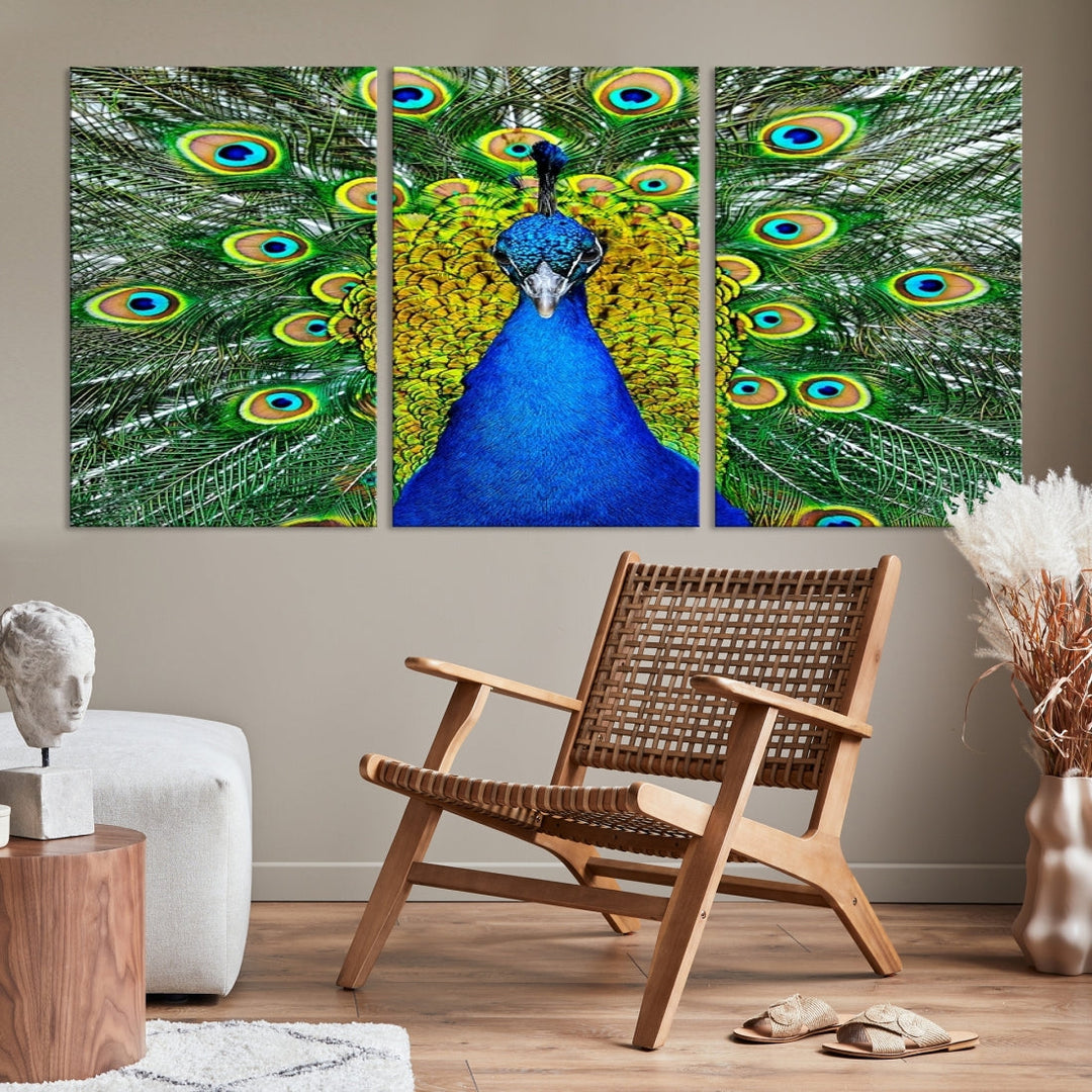 Large Wall Art Animal Canvas PrintBlue Peacock with Colorful Wings