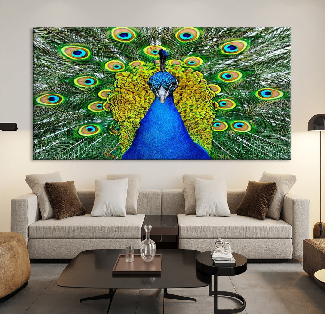 Large Wall Art Animal Canvas PrintBlue Peacock with Colorful Wings