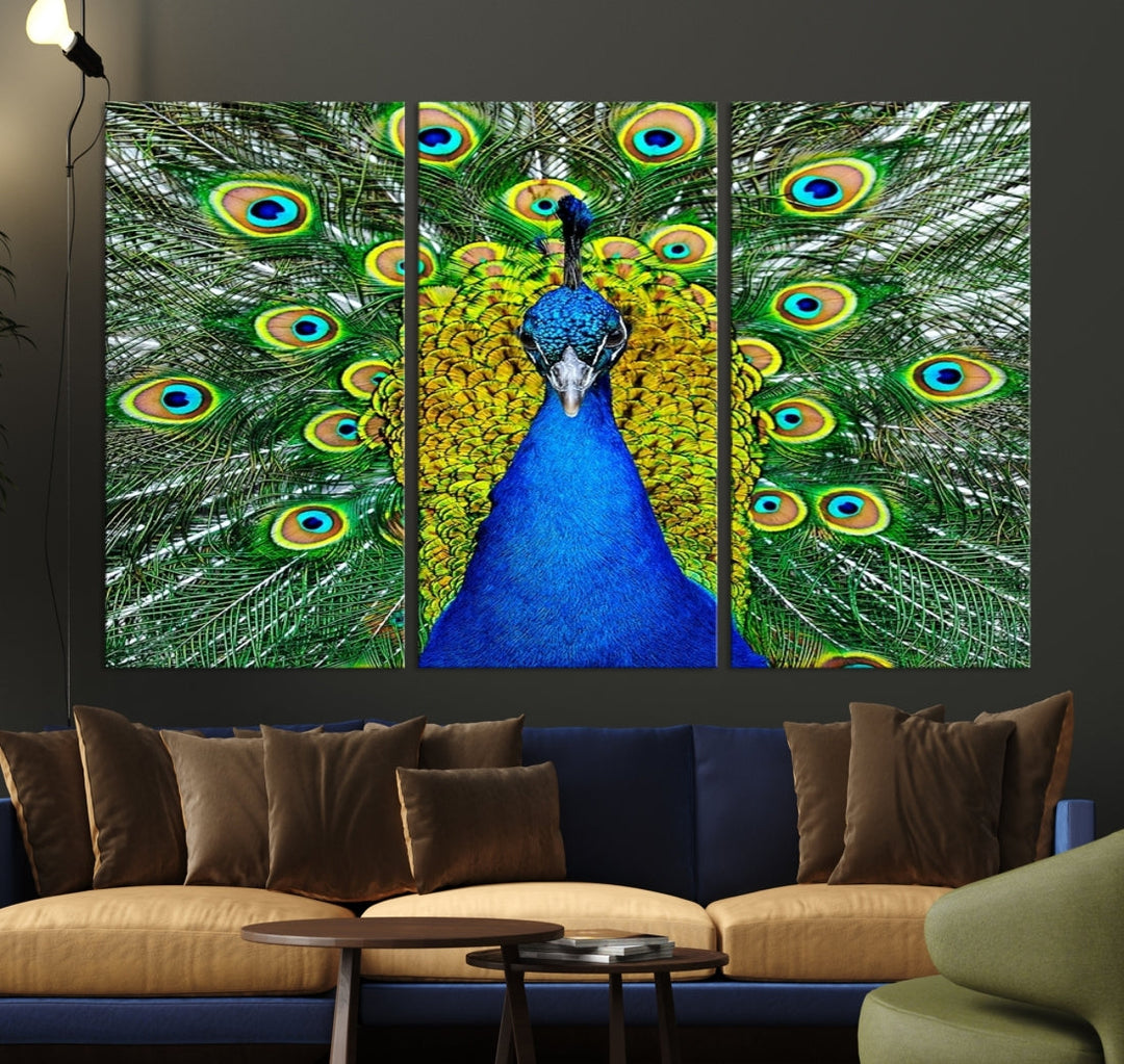 Large Wall Art Animal Canvas PrintBlue Peacock with Colorful Wings