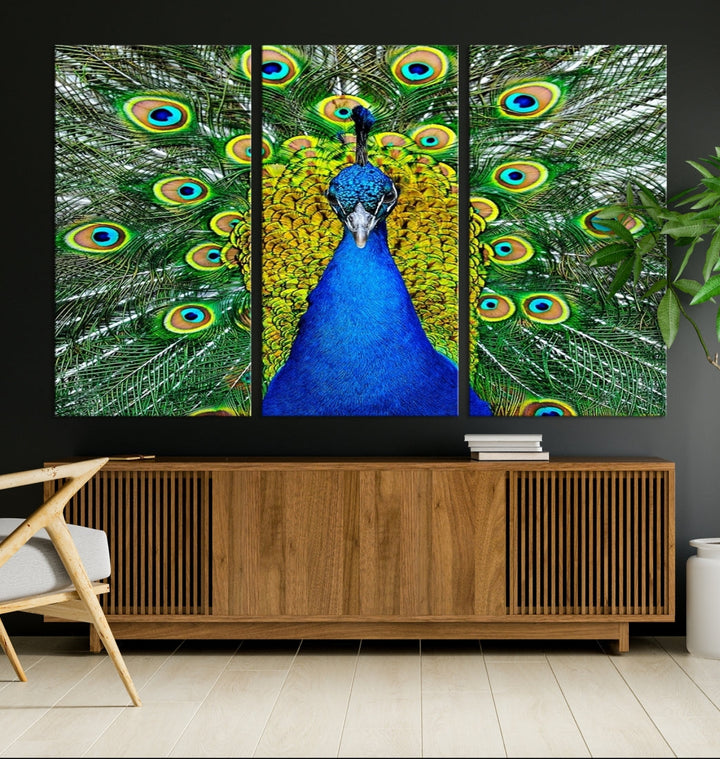 Large Wall Art Animal Canvas PrintBlue Peacock with Colorful Wings