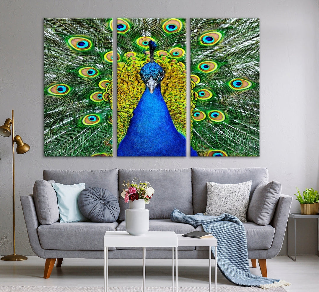 Large Wall Art Animal Canvas PrintBlue Peacock with Colorful Wings