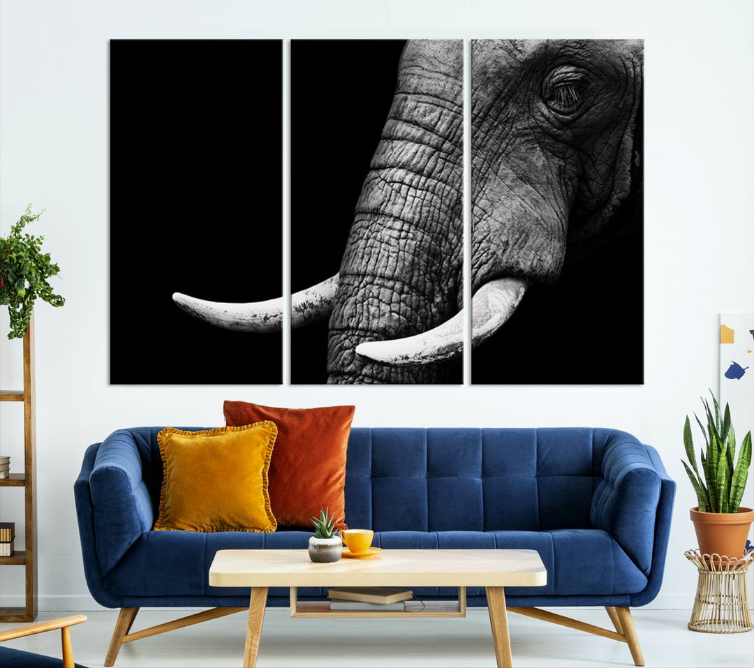 Large Wall Art Animal Canvas PrintClose Taken Elephant with Big Ivories