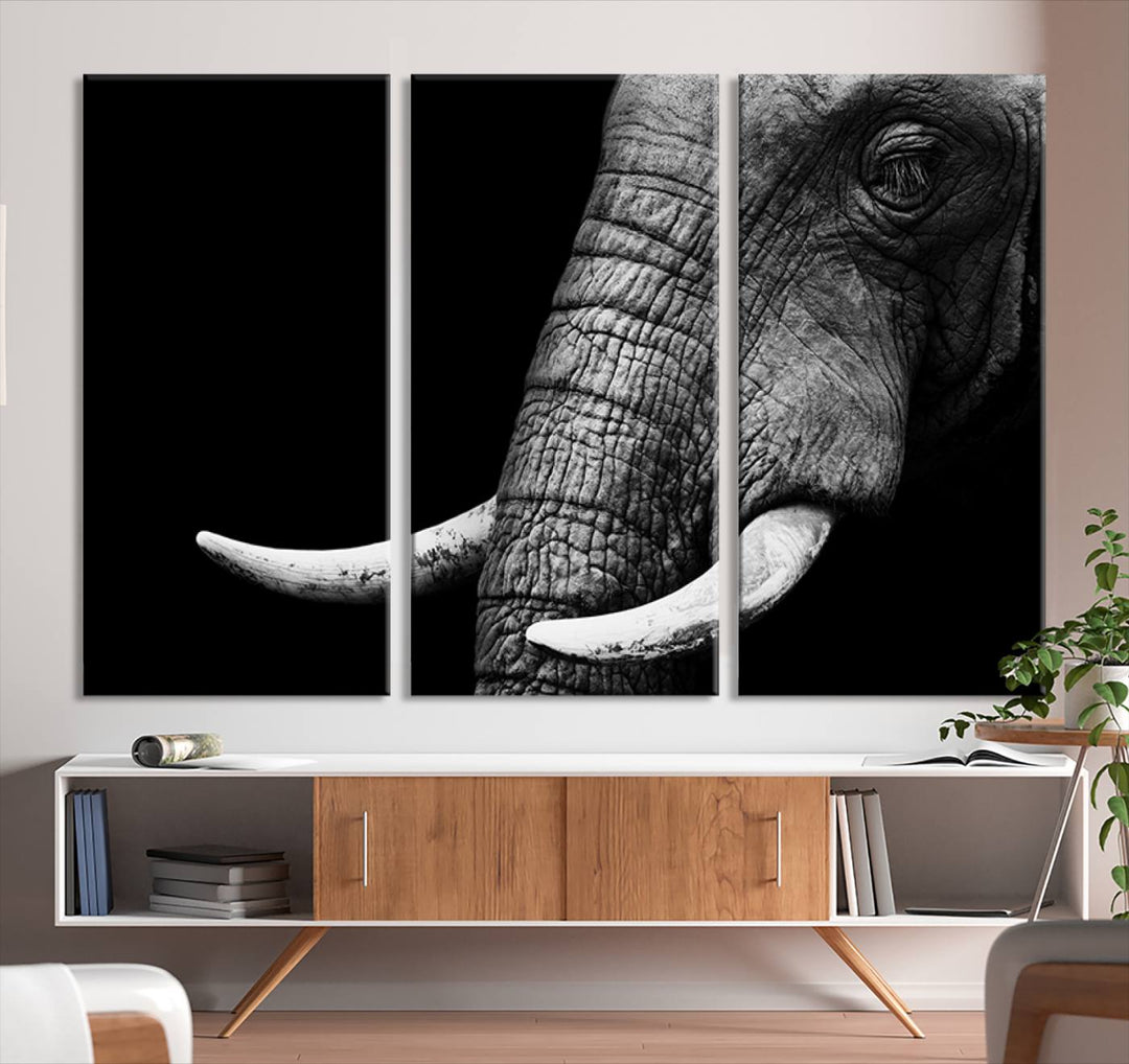 Large Wall Art Animal Canvas PrintClose Taken Elephant with Big Ivories