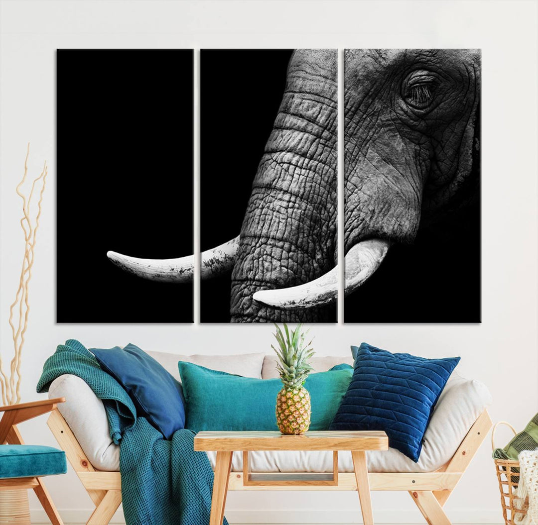 Large Wall Art Animal Canvas PrintClose Taken Elephant with Big Ivories