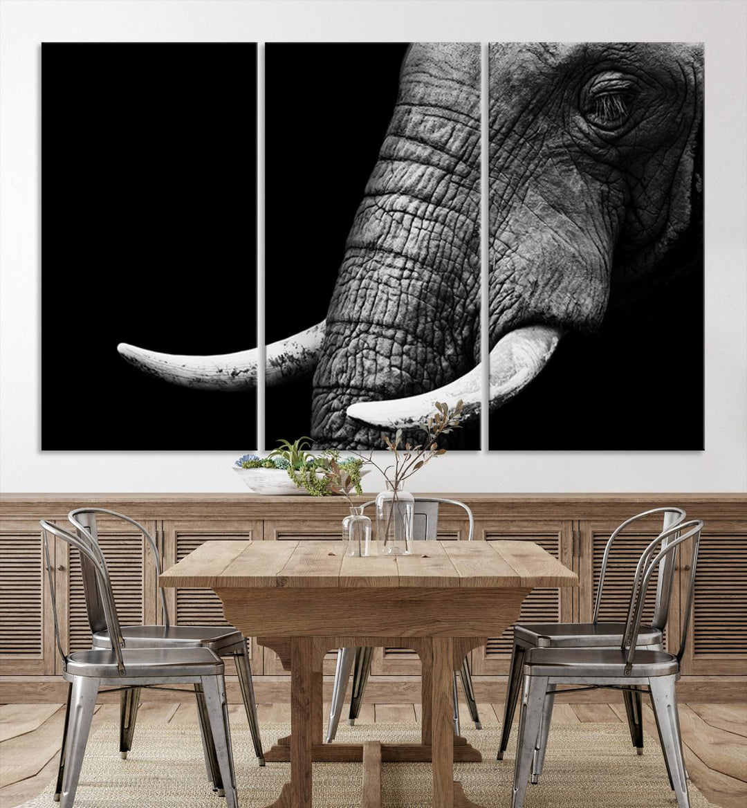 Large Wall Art Animal Canvas PrintClose Taken Elephant with Big Ivories