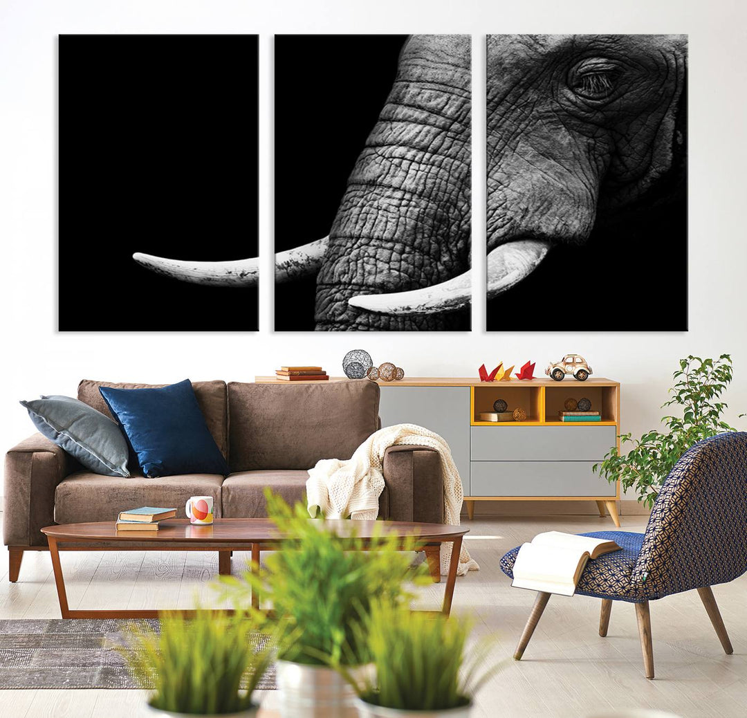 Large Wall Art Animal Canvas PrintClose Taken Elephant with Big Ivories