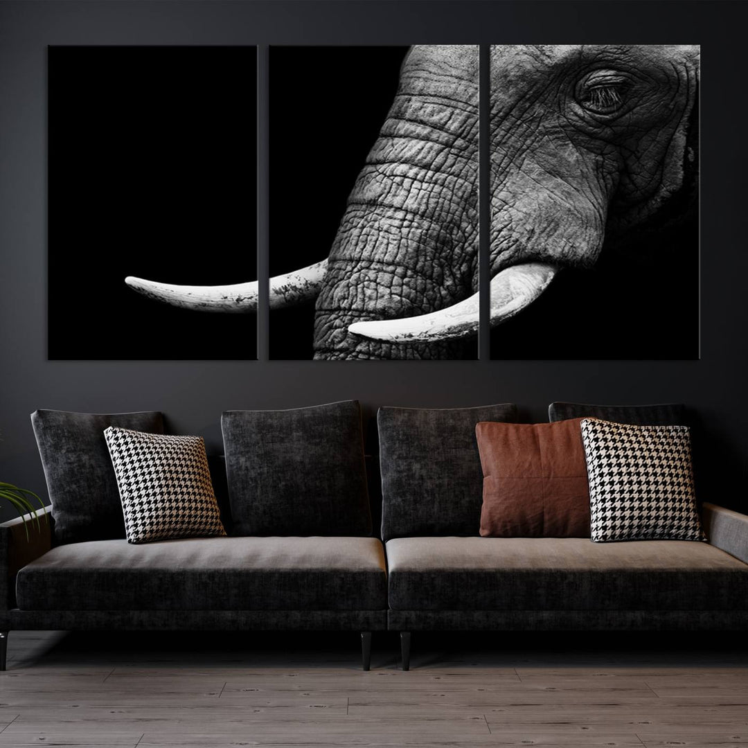 Large Wall Art Animal Canvas PrintClose Taken Elephant with Big Ivories