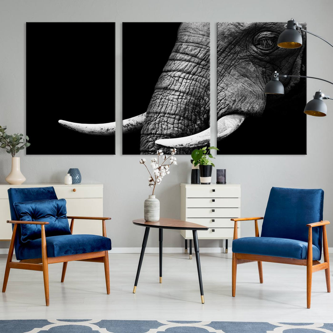 Large Wall Art Animal Canvas PrintClose Taken Elephant with Big Ivories