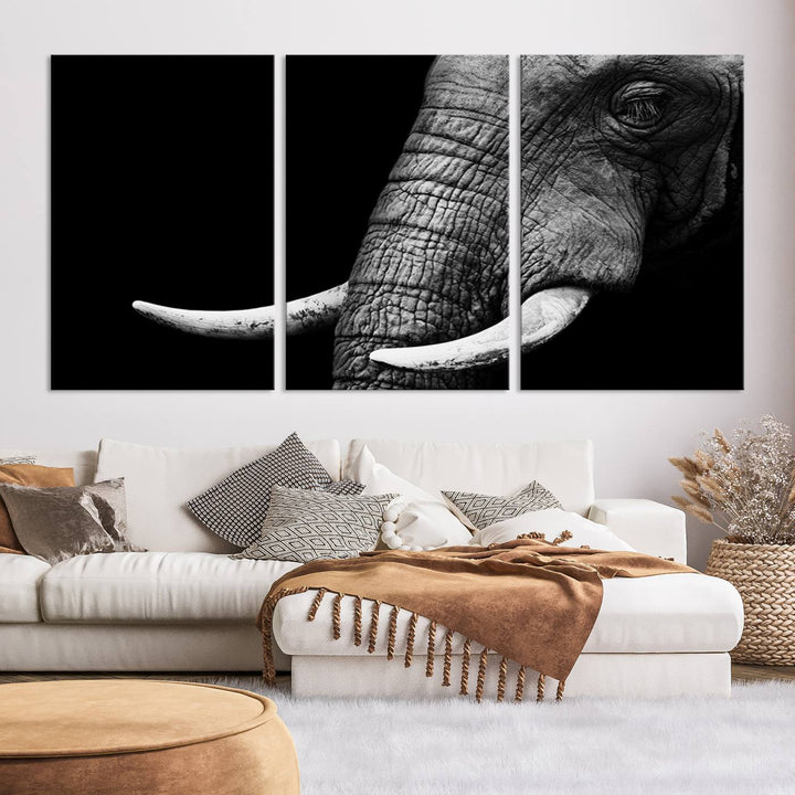 Large Wall Art Animal Canvas PrintClose Taken Elephant with Big Ivories